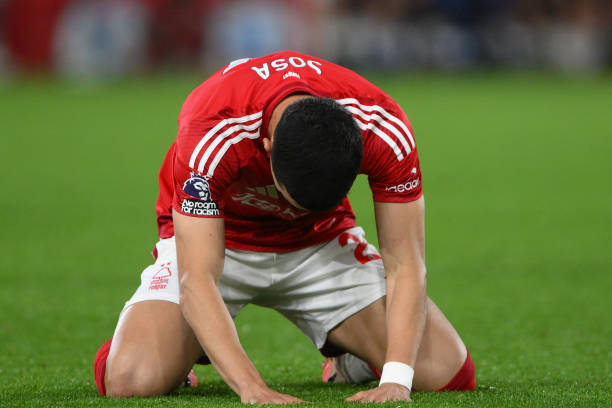 约基奇的高 约基奇的高